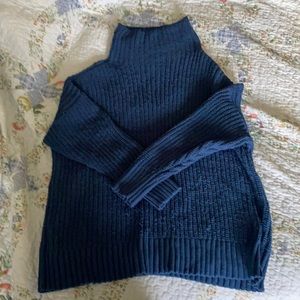 Aerie turtle neck sweater